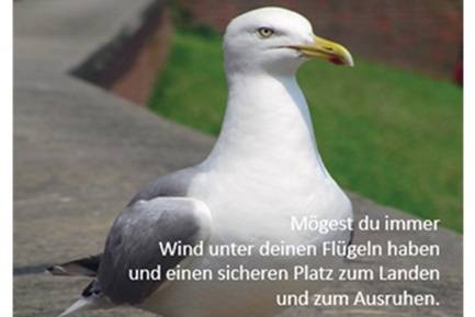 Quelle: Michael Tillen